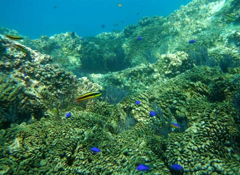 Los Cabos: The Arch and Lover's Beach Kayaking + Snorkeling - Conditions, comfort, and what to bring