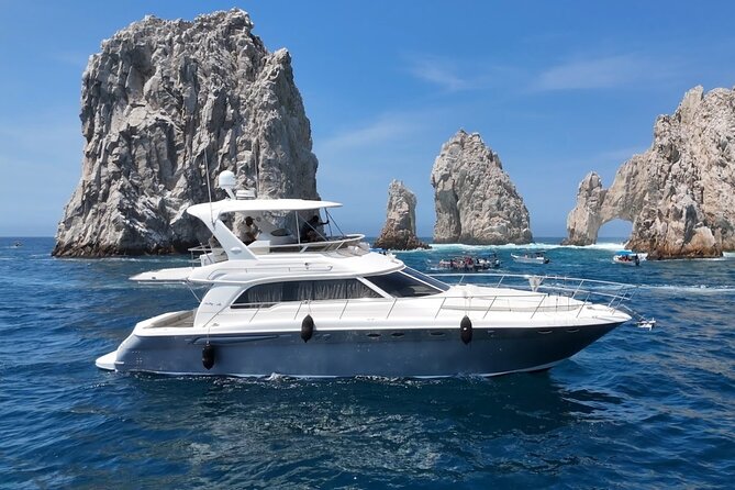 Los Cabos Whale Watching & Snorkel Adventure with Food & Drinks - The boat question matters more than usual