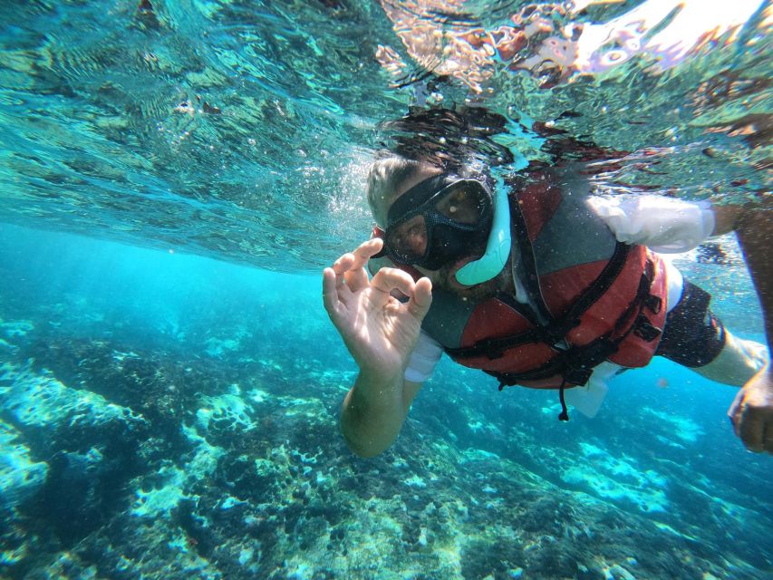 Los Cristianos: Kayaking and Snorkeling with Marine Wildlife - Pickup across southern Tenerife