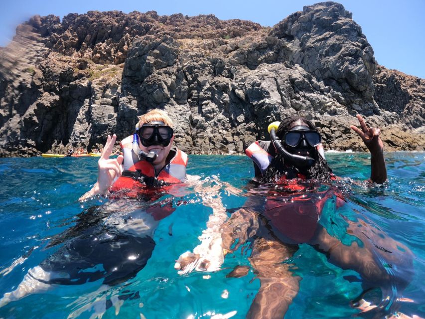 Los Cristianos: Kayaking and Snorkeling with Marine Wildlife - How much value do you get for $53?