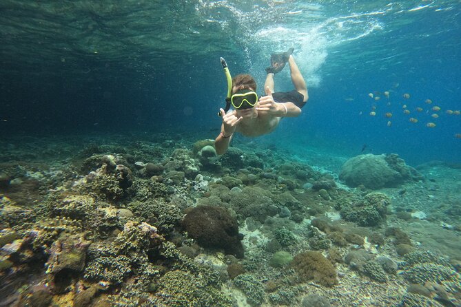Lovina Dolphin Watching, Swimming, and Snorkeling Experience - Swimming from the jukung