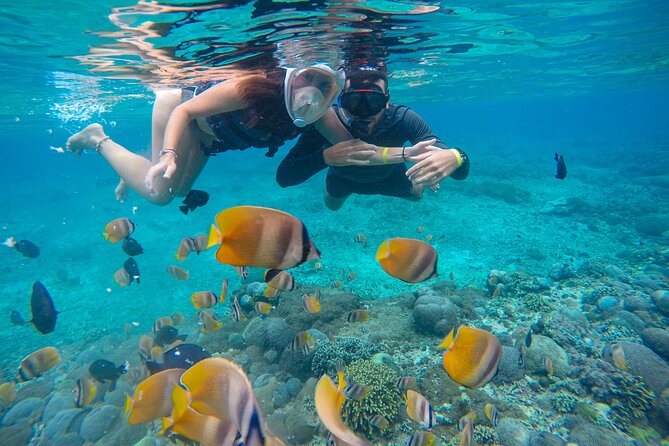 Lovina Dolphin Watching, Swimming, and Snorkeling Experience - Choosing the Lake Bratan stop