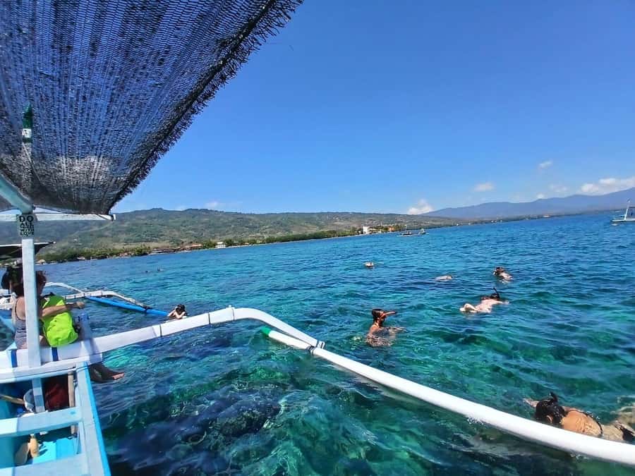 Lovina : SPECIAL FULL TRIP dolphin watch, swim, and snorkel - Snorkeling over coral and fish