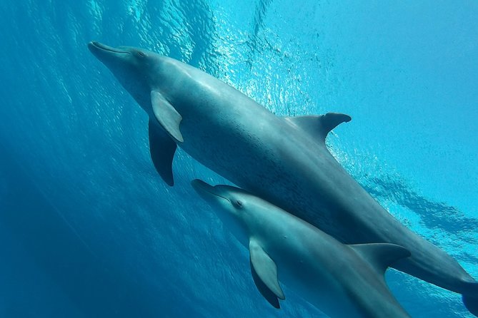 Luxury Cruise inc. Snorkeling/Massage/Island/water sport & Lunch - Why this Hurghada boat trip packs so much into one day