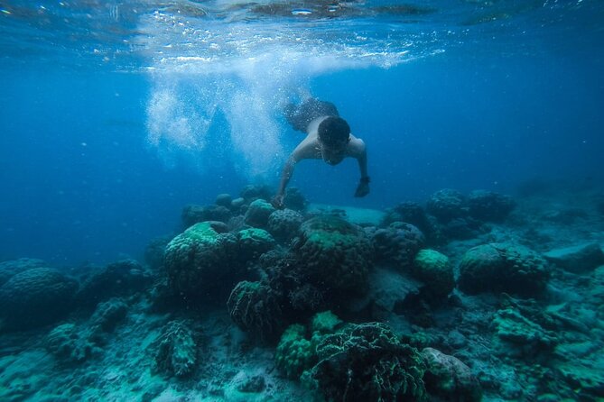 Luxury Cruise inc. Snorkeling/Massage/Island/water sport & Lunch - Snorkeling at two Red Sea sites
