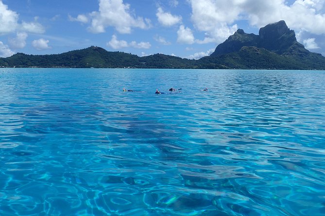 Luxury Full Day Snorkeling - Why six to eight snorkeling sites matter