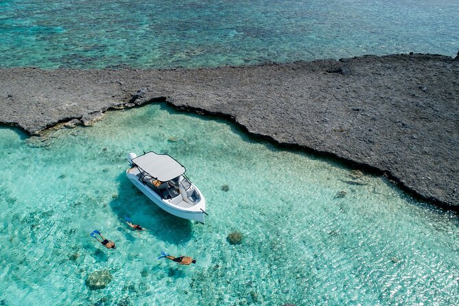 Luxury Full Day Snorkeling - What the private format changes