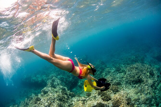 Luxury Kona Coast Snorkel Tour Including Lunch - What you might see beneath the surface