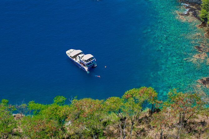 Luxury Kona Coast Snorkel Tour Including Lunch - A plant-based lunch and a cash bar on the return