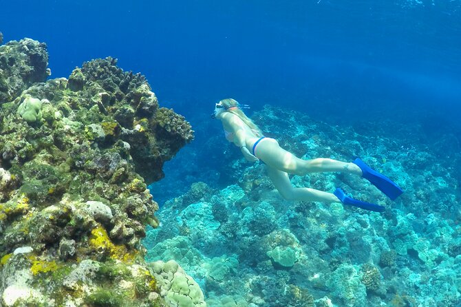 Luxury Kona Coast Snorkel Tour Including Lunch - Why the $204.84 price can make sense