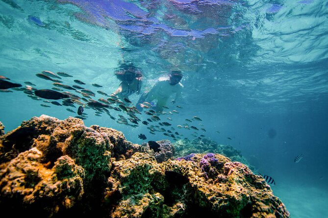 LUXURY PRIVATE Catamaran Bora Bora : Full-Day Trip - Who should book this catamaran