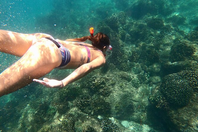 Luxury Snorkel Adventure in Cabo - Santa Maria Bay or Chileno Bay for snorkeling