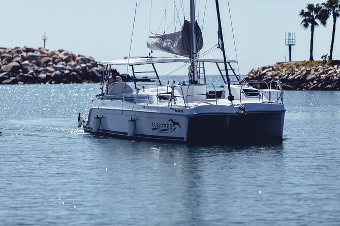Luxury Snorkel Adventure in Cabo - Service makes the small boat worthwhile