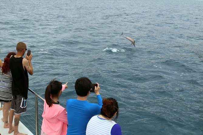 Luxury Snorkel Cruise, Local Buffet with Whale & Dolphin Watch - Choosing between the three departure options