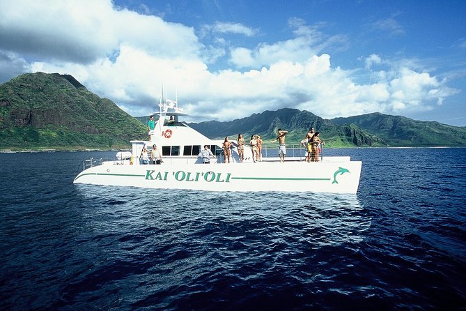 Luxury Snorkel Cruise, Local Buffet with Whale & Dolphin Watch - Searching for dolphins, turtles, and seasonal whales