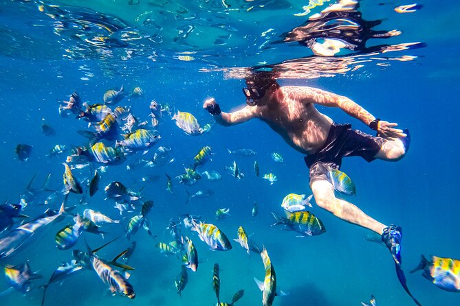 Luxury Yacht & Snorkel with All inclusive Open bar and lunch - Snorkeling, paddleboards, and the banana boat question