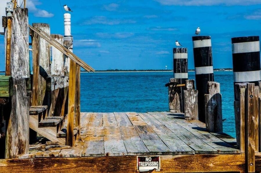 Madeira Beach: Egmont Key Snorkeling and Dolphin Cruise - Final call: book it for the variety