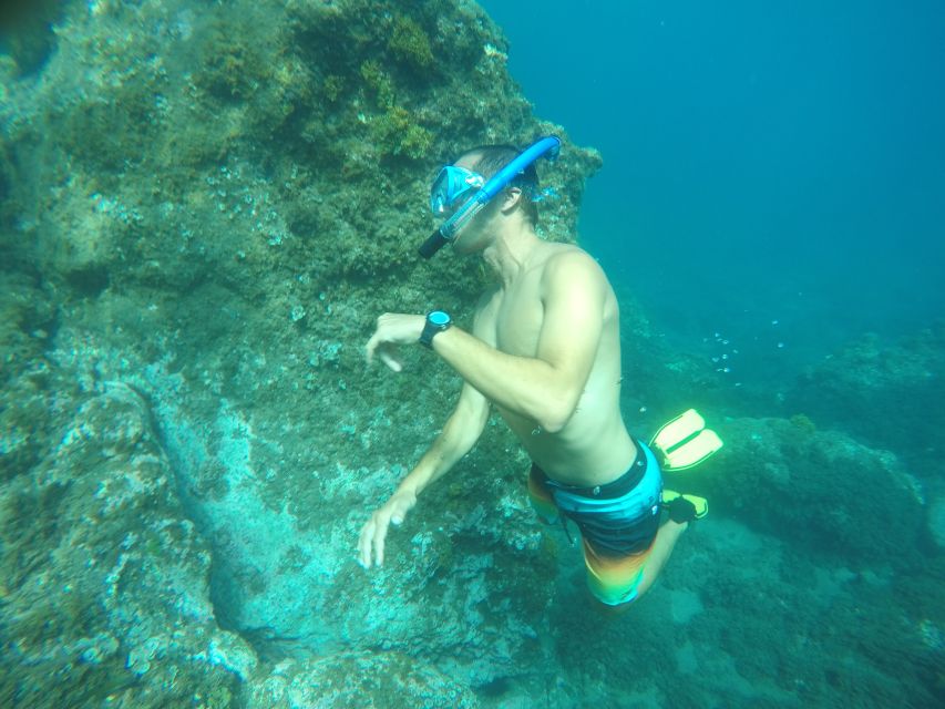 Madeira: Garajau Nature Reserve Kayak and Snorkel Tour - Paddling from Funchal toward Garajau
