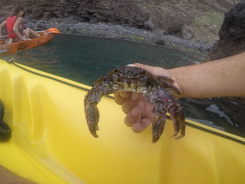 Madeira: Garajau Nature Reserve Kayak and Snorkel Tour - Who should book this Madeira kayak tour?