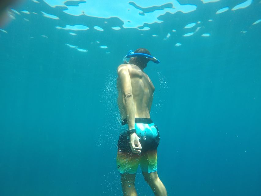 Madeira: Garajau Nature Reserve Kayak and Snorkel Tour - Snorkeling among fish, crabs, and groupers