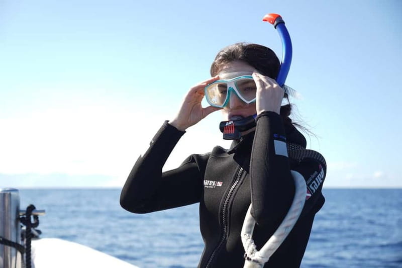 Madeira: Ponta de São Lourenço Snorkeling Boat Trip - A good choice for first-time snorkelers