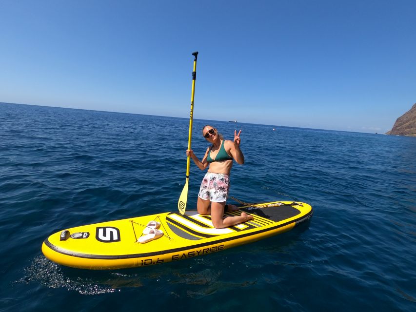 Madeira: Private Paddleboard & Snorkel - Snorkeling and sea life near Câmara de Lobos