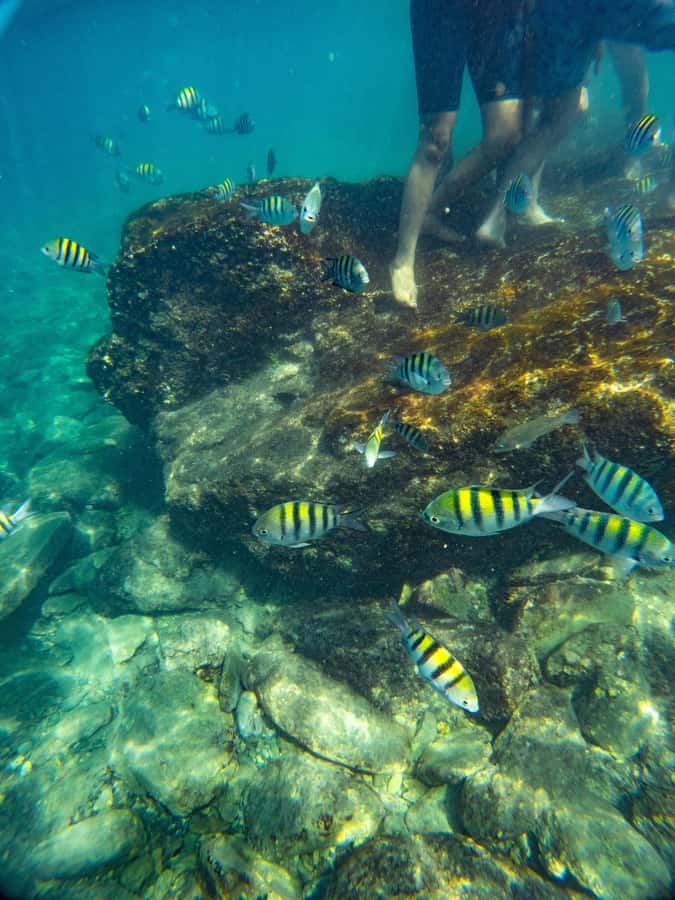 Magdalena: Tayrona Park Cruise with Snorkeling & Beaches - Concha Bay gives the day room to breathe