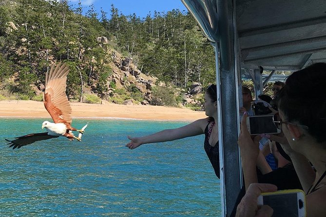 Magnetic Island Discovery Tour with Snorkeling & Paddle Boarding - How the weather can change the day