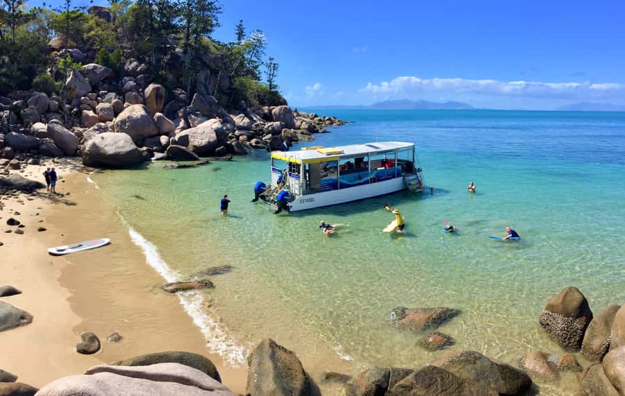 Magnetic Island: Snorkel Discovery Tour - Morning tea with a view