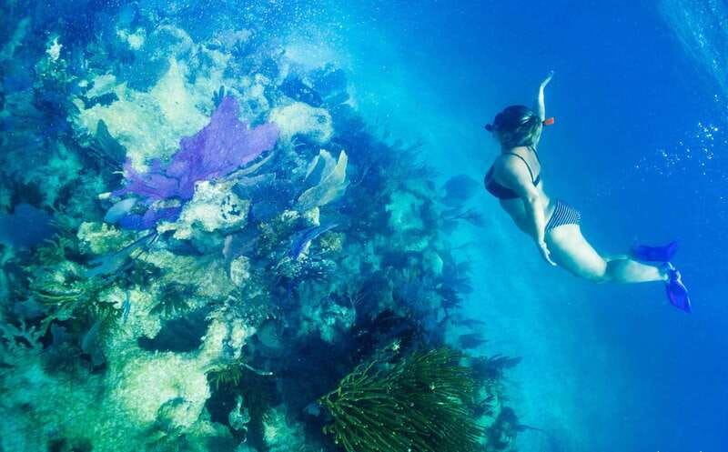 Mahahual: Snorkel Tour in Reef Lagoon - The 10-minute boat ride to the reef