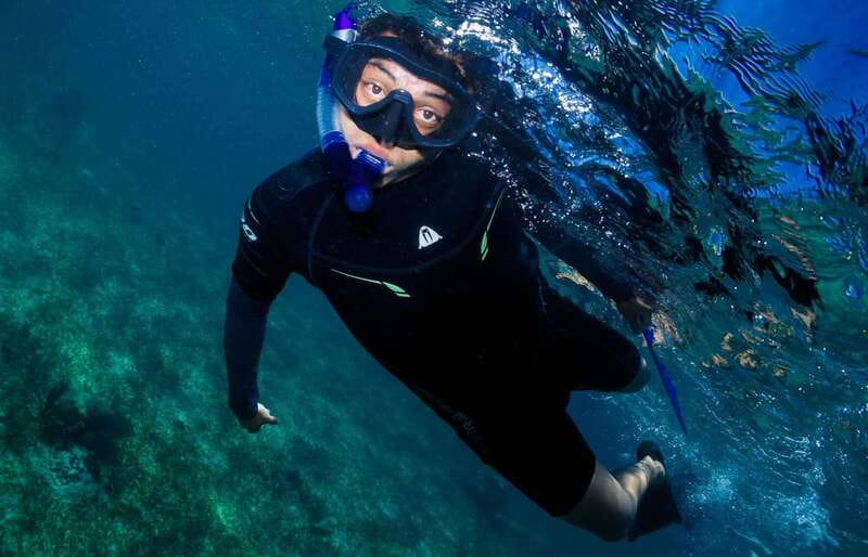 Mahahual: Snorkel Tour in Reef Lagoon - What the $37 price includes