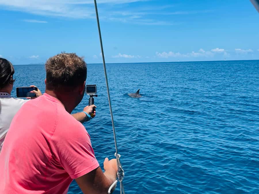 Mahe Island: St. Anne Marine Park Snorkeling Trip - Should you book the St. Anne Marine Park trip?