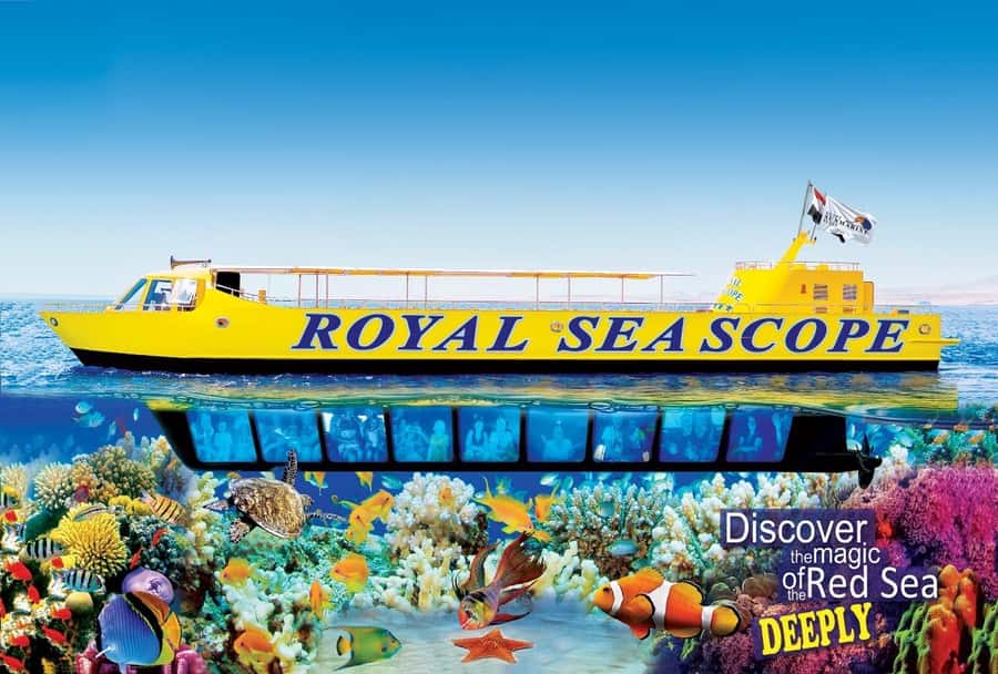 Makadi Bay: Royal Seascope Submarine Cruise & Snorkel stop - Seeing the Red Sea without committing to a full snorkel