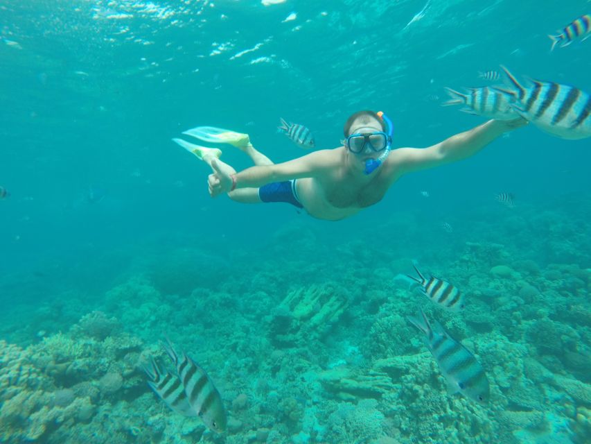 Makadi Bay: Snorkelling and Diving Island Trip - Key points to know before booking