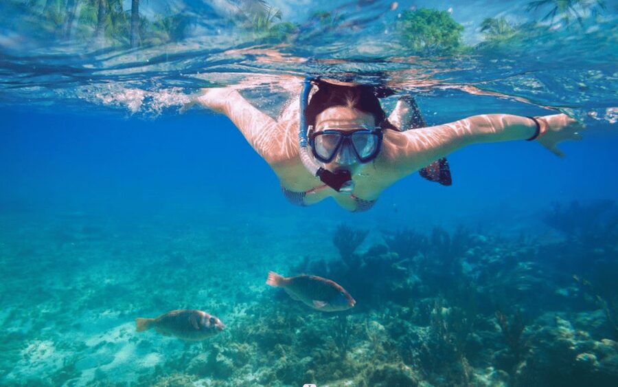 Makarska: Sea kayaking & snorkeling adventure - MPL Nautika - A few practical points before you go