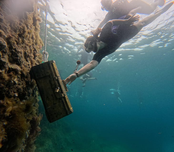 Mallorca: Kayaking, Sea Cave, Cliff Jumping & Snorkel Tour - Who should book this experience