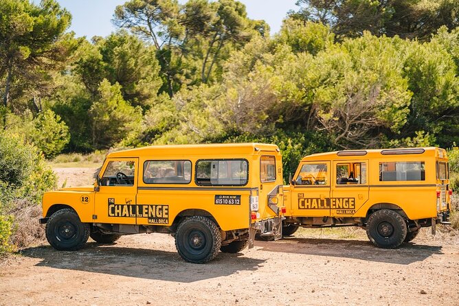 Mallorca: Kayaking, Sea Cave, Cliff Jumping & Snorkel Tour - From the Fun-Bus to La Victòria