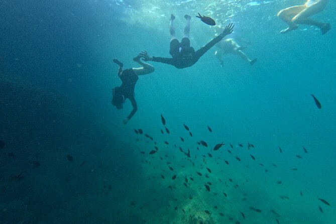 Mallorca: Kayaking, Sea Cave, Cliff Jumping & Snorkel Tour - A picnic that rounds out the morning