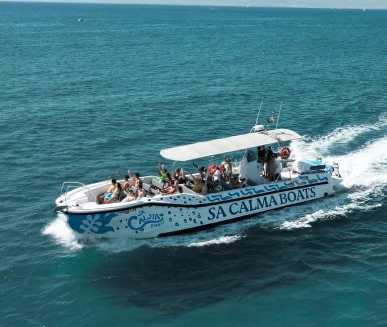 Mallorca Marine reserve: Visit caves, cliffs and snorkeling - Key points to know before booking