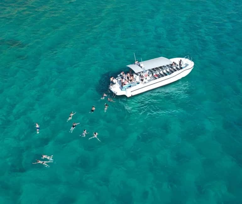 Mallorca Marine reserve: Visit caves, cliffs and snorkeling - What this speedboat trip is really about