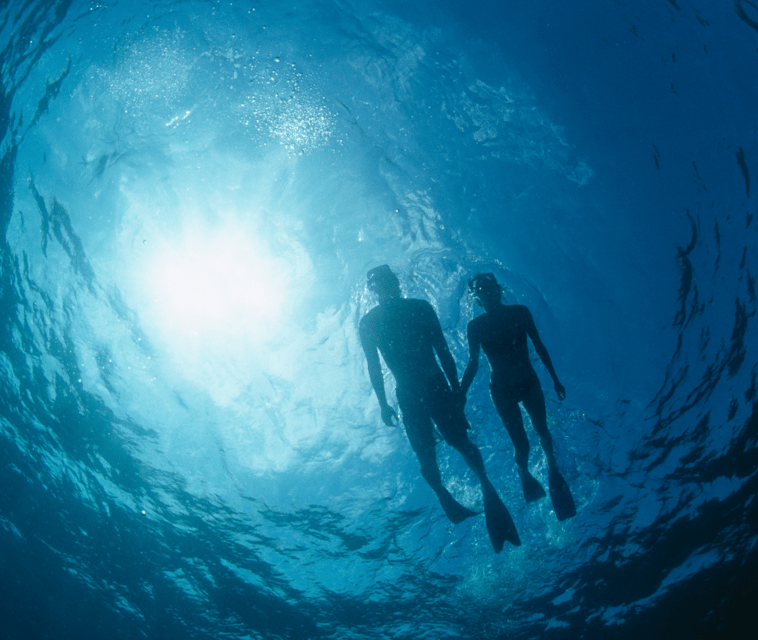 Mallorca Marine reserve: Visit caves, cliffs and snorkeling - Snorkeling and paddle surf: what is included