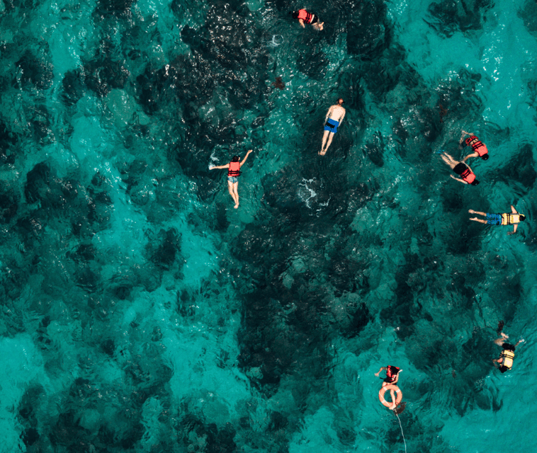 Mallorca Marine reserve: Visit caves, cliffs and snorkeling - Who will enjoy this outing most