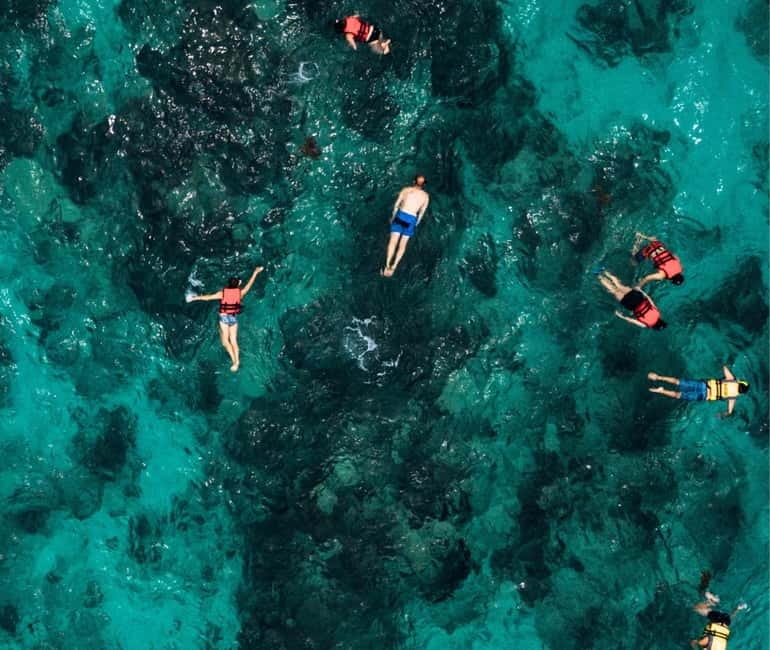 Mallorca: Palma Boat Tour & Snorkeling with Drink Included - Is $46 a good price?