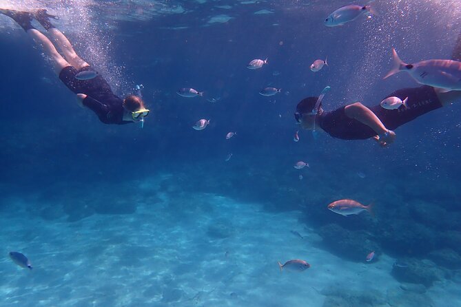 Mallorca: Snorkeling in a Beautiful Nature Reserve - What this Mallorca snorkeling trip is really like