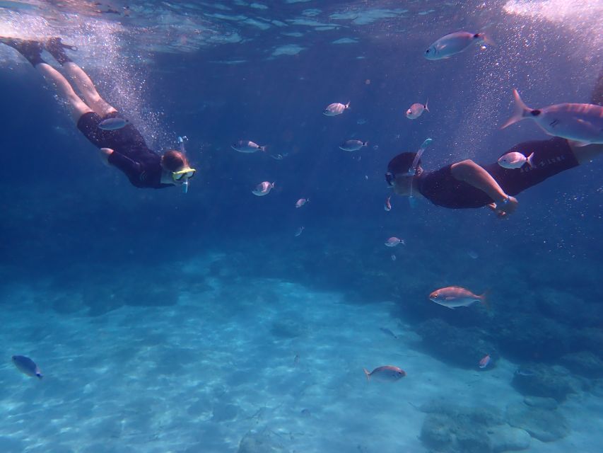 Mallorca: Snorkeling in a Beautiful Nature Reserve - Why the small group changes the outing