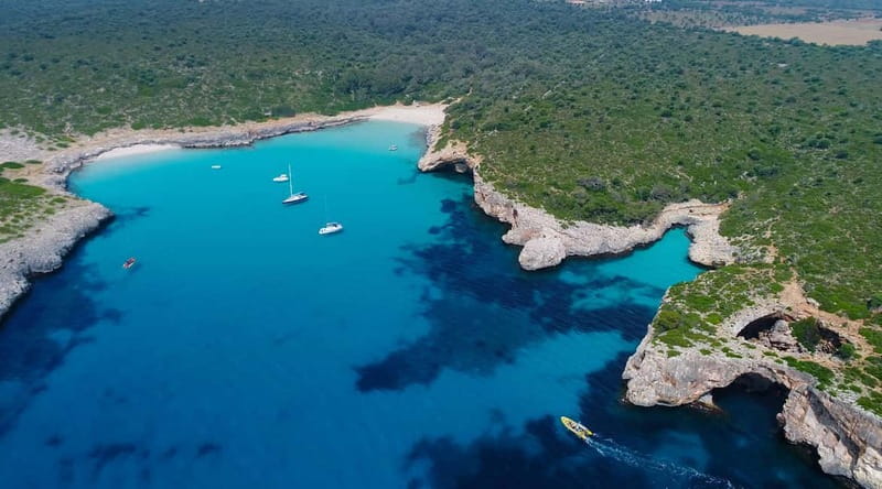 Mallorca: Snorkeling in the Natural Park by Boat - Key points at a glance