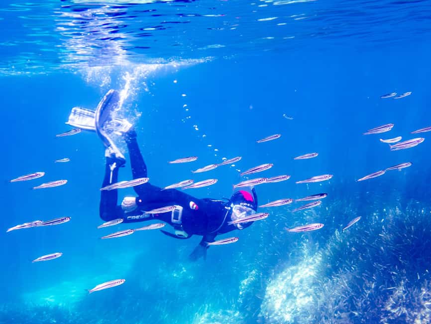 Mallorca: Snorkeling tour with diving instructor from a boat - Cap de Formentor - The 50-minute swim near Cap de Pinar or Cap de Formentor