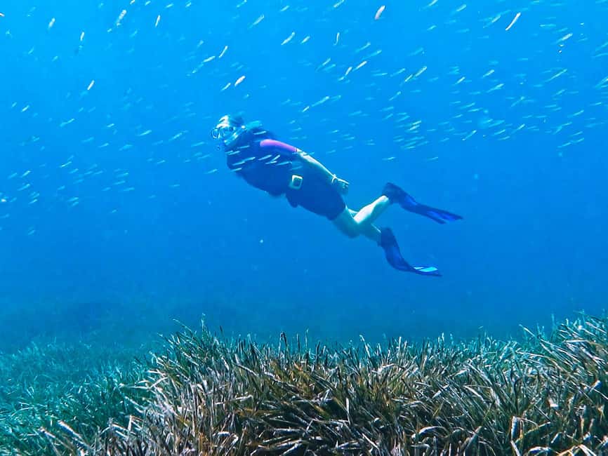 Mallorca: Snorkeling tour with diving instructor from a boat - Cap de Formentor - What to bring and how to prepare