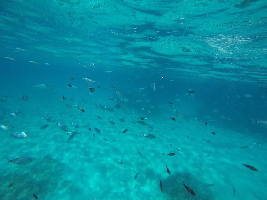 Mallorca : Speedboat, Snorkelling and Swimming Adventure - Entering the Formentor sea cave