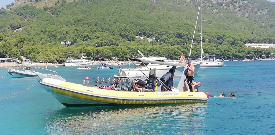 Mallorca : Speedboat, Snorkelling and Swimming Adventure - Snorkeling and swimming in a clear cove